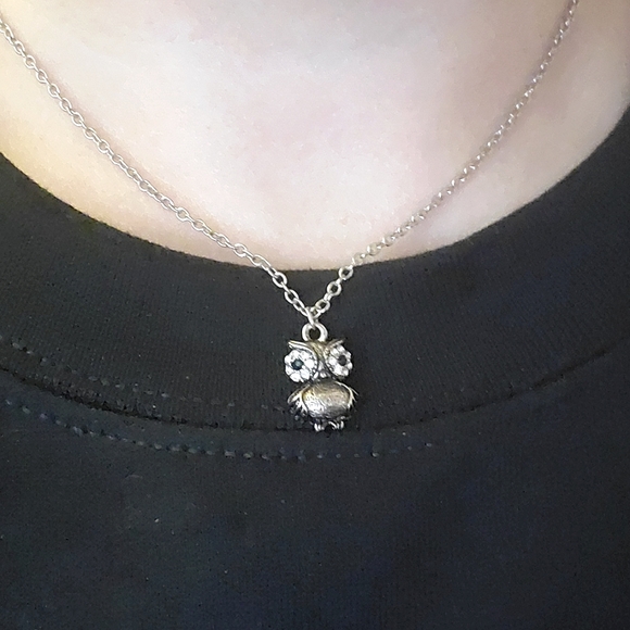 Forever 21 Jewelry - Dainty Owl Necklace